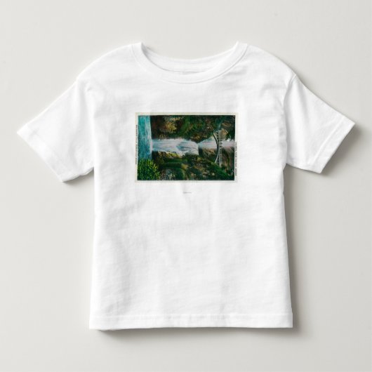 コロンビア川のMultnomahの滝 トドラーTシャツ (正面)