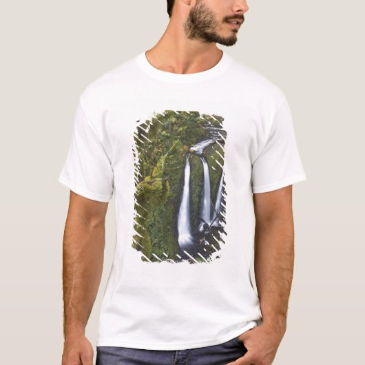 コロンビア川峡谷 トリプルフォールズ Tシャツ (正面)