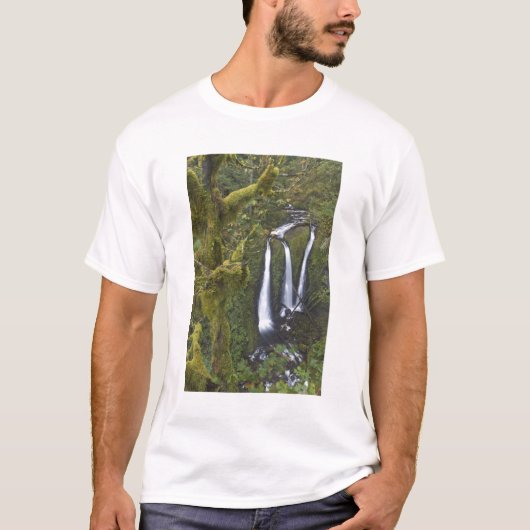コロンビア川渓谷 トリプルフォールズ Tシャツ (正面)