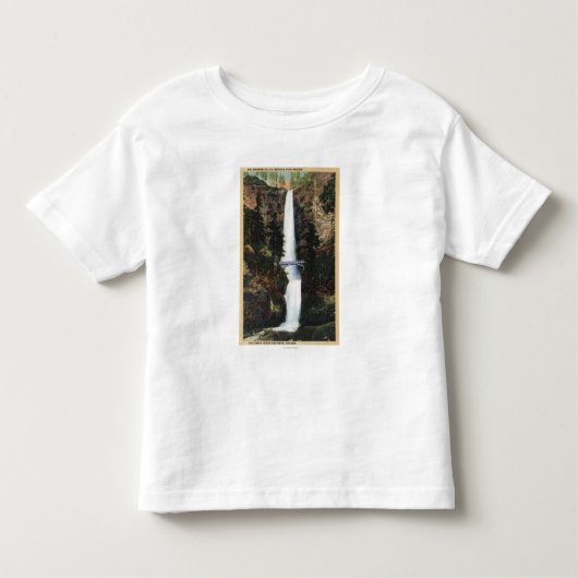コロンビア川、または- Multnomah滝およびBenson トドラーTシャツ (正面)