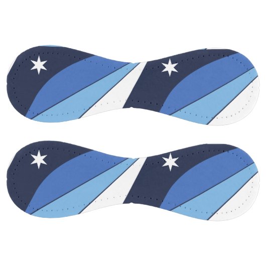 コロンビア州旗を持つ愛国的ソフトボール ソフトボール (パネル)