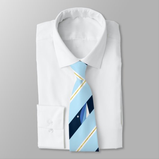 コロンビア州（サウスカロライナ）国旗のネックタイ ネクタイ (タイ)