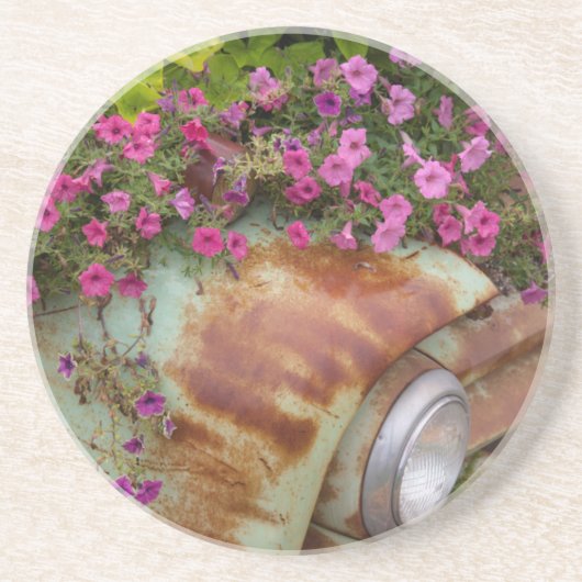 コロンビア滝 コースター (正面)