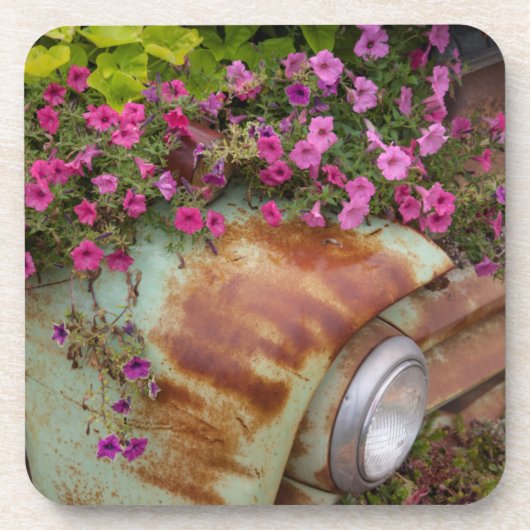 コロンビア滝 コースター (正面)