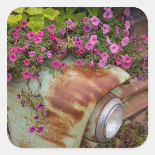 コロンビア滝 スクエアシール (正面)