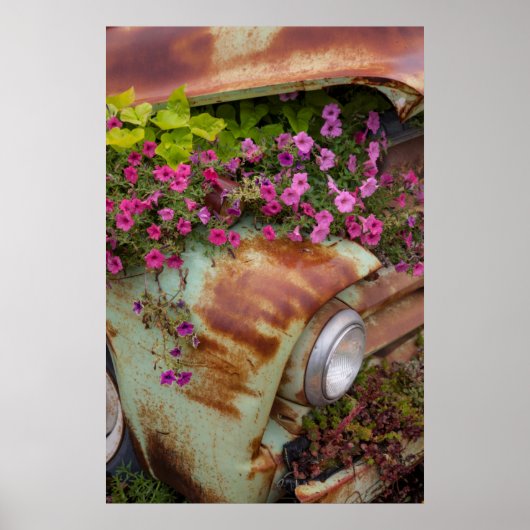 コロンビア滝 ポスター (正面)