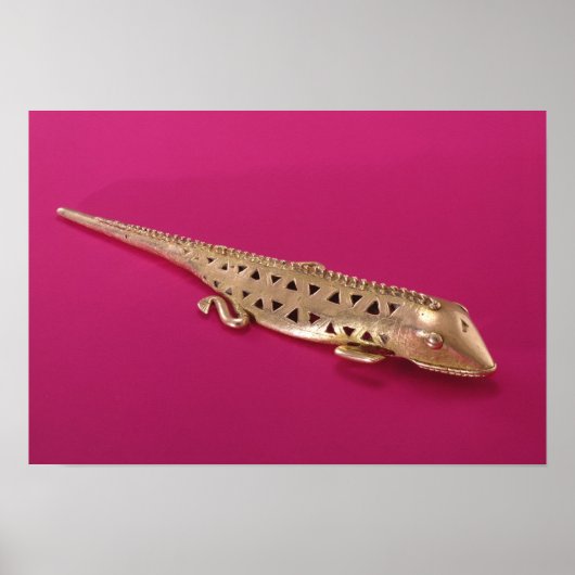 コロンビア産トカゲ ポスター (正面)