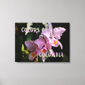 コロンビア・カトレヤ・オーキッドの色 キャンバスプリント (正面)