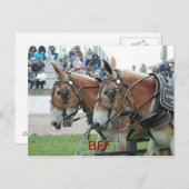 コロンビア・トン ポストカード (正面/裏面)