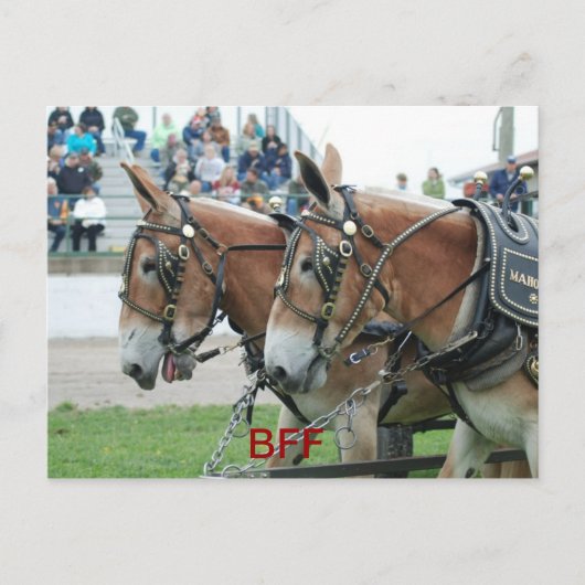 コロンビア・トン ポストカード (正面)