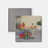 コロンビア – フルーツカリブのベンダー マグネット (正面/裏面)