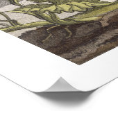 コロンビ、カルタヘナの近くのアリオ・ディ・ターバコ火山 ポスター (角)