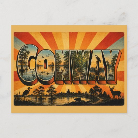 コンウェイ アーカンソー州 湖 河川 谷 芸術 ポストカード (正面)
