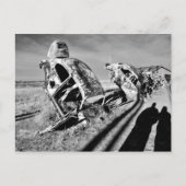 コンウェイ ポストカード (正面)