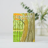 コンガリーナショナルパークサウスカロライナヴィンテージ ポストカード (スタンド正面)