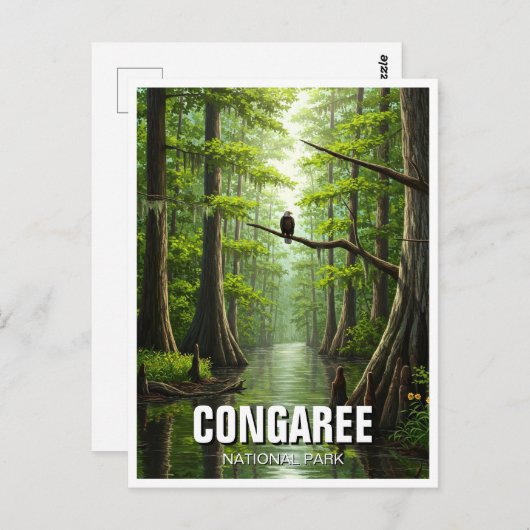 コンガリー国立公園サウスカロライナ旅行 ポストカード (正面/裏面)