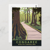 コンガリー国立公園サウスカロライナ，旅行 ポストカード (正面/裏面)