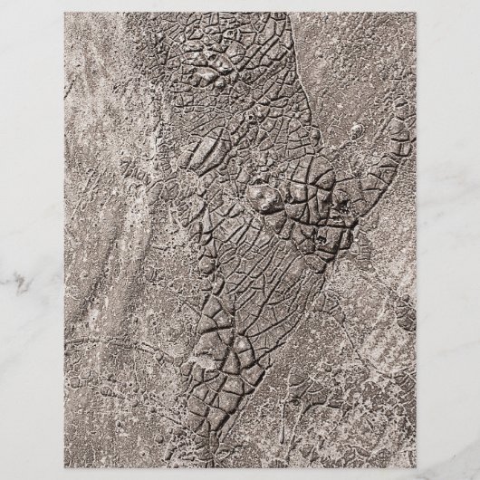 コンクリートのテクスチャ チラシ (正面)