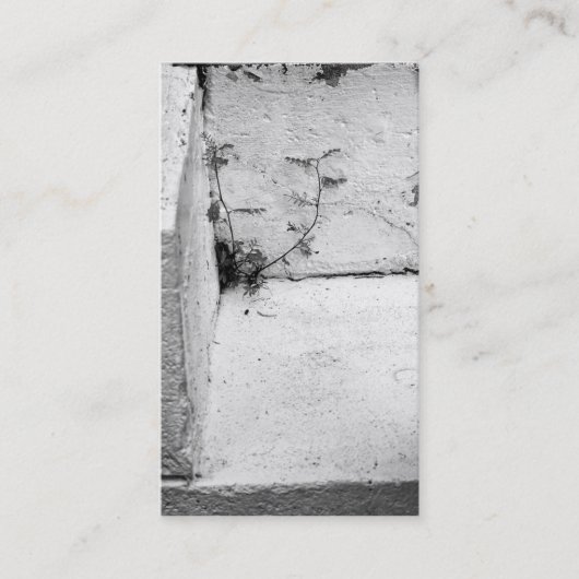 コンクリートステップの雑草名刺 名刺 (正面)
