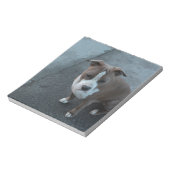 コンクリート上の白と灰色のピットブル ノートパッド (回転)