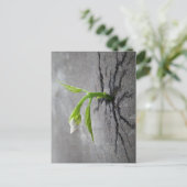 コンクリート貫通 ポストカード (スタンド正面)