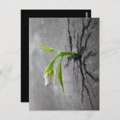 コンクリート貫通 ポストカード (正面/裏面)