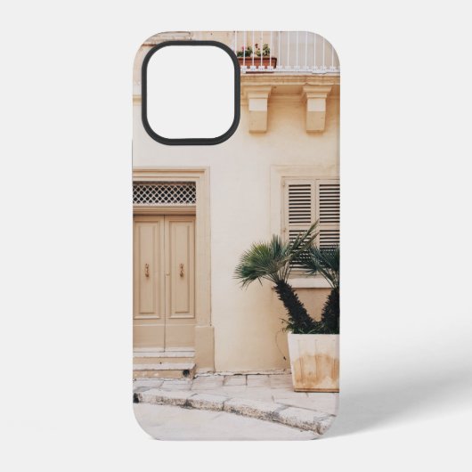 コンクリート造りの家近くの多肉植物 iPhoneケース (裏面)