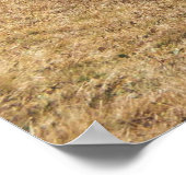 コンクリート道路の空中写真撮影 ポスター (角)