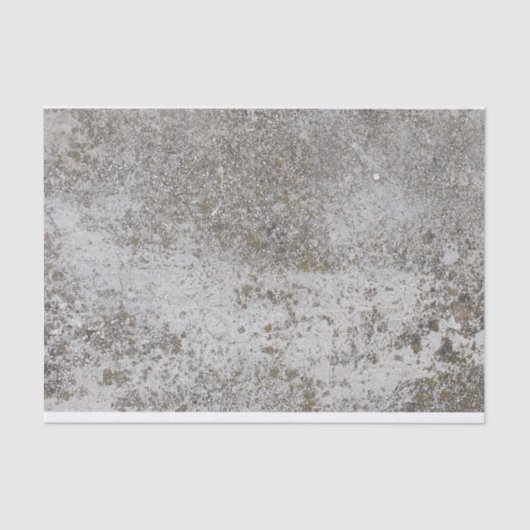 コンク動揺してグランジリート風化組織DIY T 薄葉紙 (正面)