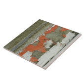 コングランジクリー絵を描ト壁のオレンジ剥離 タイル (側面)