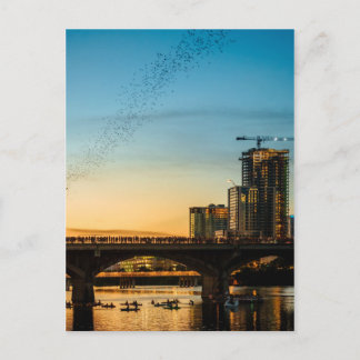 コングレスアベニューブリッジこうもりウォッチング ポストカード