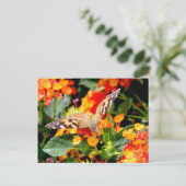 コングレ色彩の鮮やかスレディ（ヴァネッサ・カルドゥイ） ポストカード (スタンド正面)