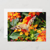 コングレ色彩の鮮やかスレディ（ヴァネッサ・カルドゥイ） ポストカード (正面/裏面)