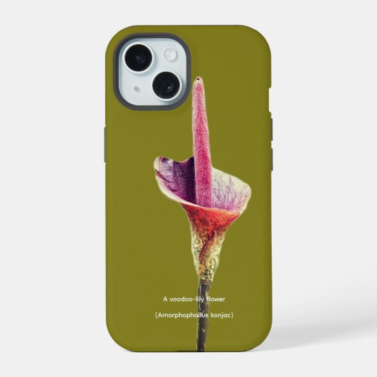 コンコルダの花 iPhone 15ケース (裏面)