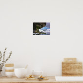 コンコルド ポスター (キッチン)