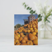 コンコードの近くの秋に農園で育ったカボチャ ポストカード (スタンド正面)