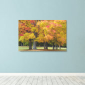 コンコードの近くの秋の色の楓の木 キャンバスプリント (インサイチュ (ウッドフロア))