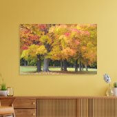 コンコードの近くの秋の色の楓の木 キャンバスプリント (インサイチュ (リビング))