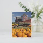 コンコード近くの秋に農場のカボチャ， 2 ポストカード (スタンド正面)