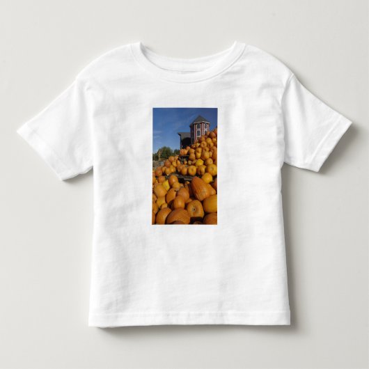 コンコード近くの秋の農場のかぼちゃ トドラーTシャツ (正面)