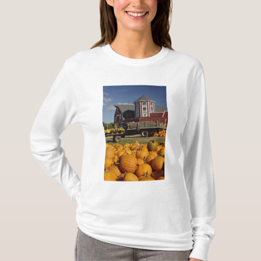 コンコード近くの秋の農場のかぼちゃ 2 Tシャツ (正面)