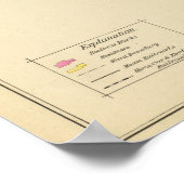 コンコード、一部 ポスター (角)