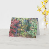 コンコードMAブリスターズヒル カード (黄色い花)