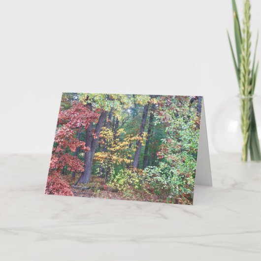 コンコードMAブリスターズヒル カード (正面)