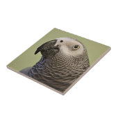 コンゴお洒落アフリカ灰色オウム タイル (側面)