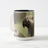 コンゴお洒落アフリカ灰色オウム ツートーンマグカップ (正面左)