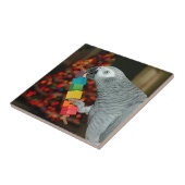 コンゴアフリカの灰色のオウムメリークリスマスツリー タイル (側面)