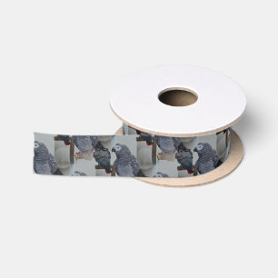 コンゴアフリカ·グレイ·オウム·イン·鏡 サテンリボン