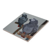 コンゴアフリカ·グレイ·オウム·イン·鏡 タイル (側面)