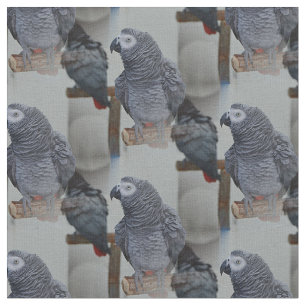 コンゴアフリカ·グレイ·オウム·イン·鏡 ファブリック